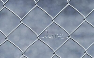 Sobre el amor y lo que no es amor: una mirada íntima desde el proceso terapéutico
